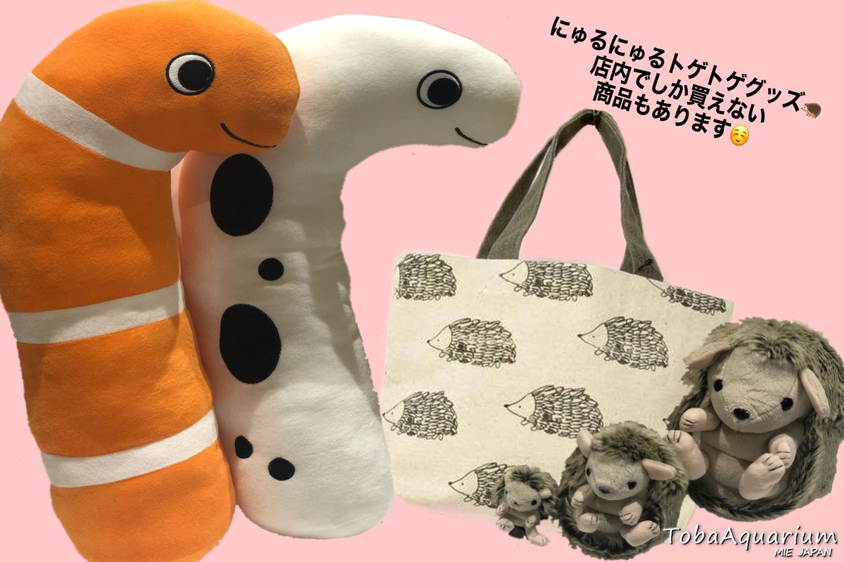 Twitter पर 鳥羽水族館 Toba Aquarium 3 から春の企画展 にゅるにゅるトゲトゲ生物の謎 を開催しています 売店プラザショップで春の企画展に合わせてお土産ものコーナーを作りました オンラインショップでも商品をupしてます 是非 ご覧ください Twitter पर 鳥羽水族館 Toba Aquarium 3 から春の企画展 にゅるにゅるトゲトゲ生物の謎 を開催しています 売店プラザショップで春の企画展に合わせてお土産ものコーナーを作りました オンラインショップでも商品をupしてます 是非 ご覧ください