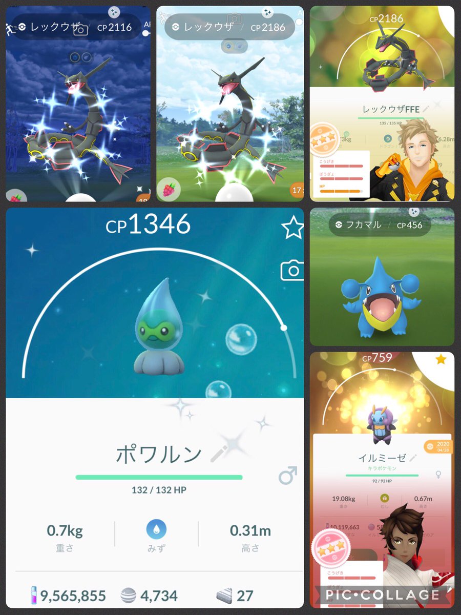 ポケモンgo イルミーゼの色違い 入手方法と実装状況 攻略大百科 ポケモンgo イルミーゼの色違い 入手方法と実装状況 攻略大百科