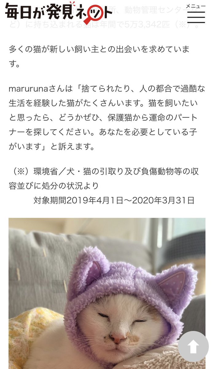 marurunamarumin's tweet photo. マルちゃんとの出会いなどなど

毎日が発見ネットさんに
記事を書いて頂きました。
よかったら読んでください
👇
https://t.co/Q2z5INiofx

#猫好きさんと繋がりたい  #猫　#暮らし　#猫をTLに流しちゃおう  #cat https://t.co/0AxKkxfEu9