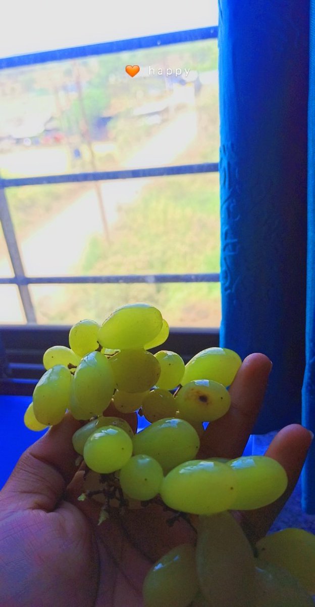 SumitCh67150882's tweet photo. Grape Love.... From MH १५ 🍇❤️ https://t.co/BRjNtrCRNi