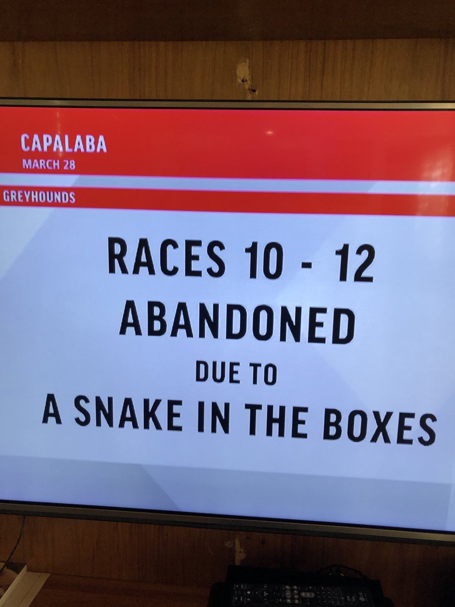 Greyhound meeting just abandoned for WUT?? OMG!! Beats Snakes on a Plane! #Straya