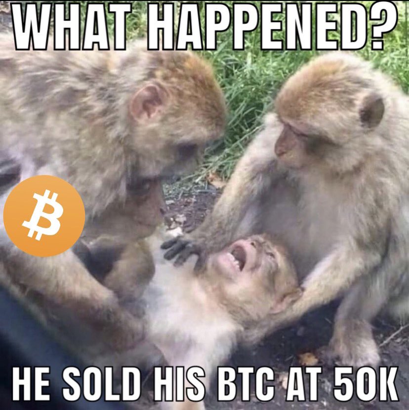 MuseumBitcoin's tweet image. WHAT HAPPENED? #Bitcoin