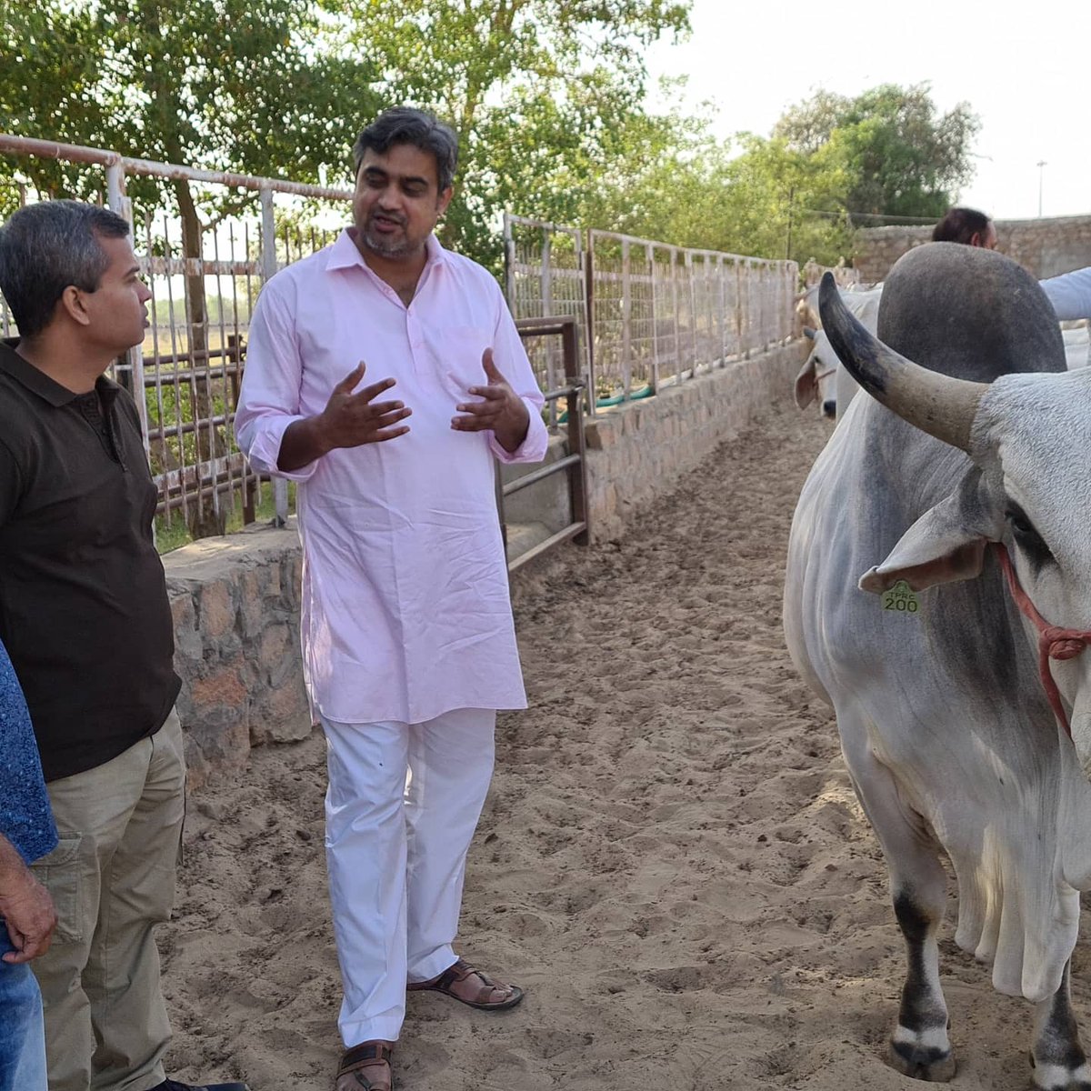 indigenouscows's tweet photo. आदरणीय हितेश जी पोरवाल founder #BIZSTART मुम्बई से ओर मनीष मालपानी जी #थारपारकर संवर्धन केंद्र पर पधारे। हितेश जी युवाओ को #bussines में सफल होने के लिए प्रेरित करते हैं। इनका मुख्य उधेश्य युवाओ को #आत्मनिर्भर बनाना है।
@DrKathiria @DilipRath10 @jai_krishnaa @DairyGyanIndia https://t.co/MZ86veldqq