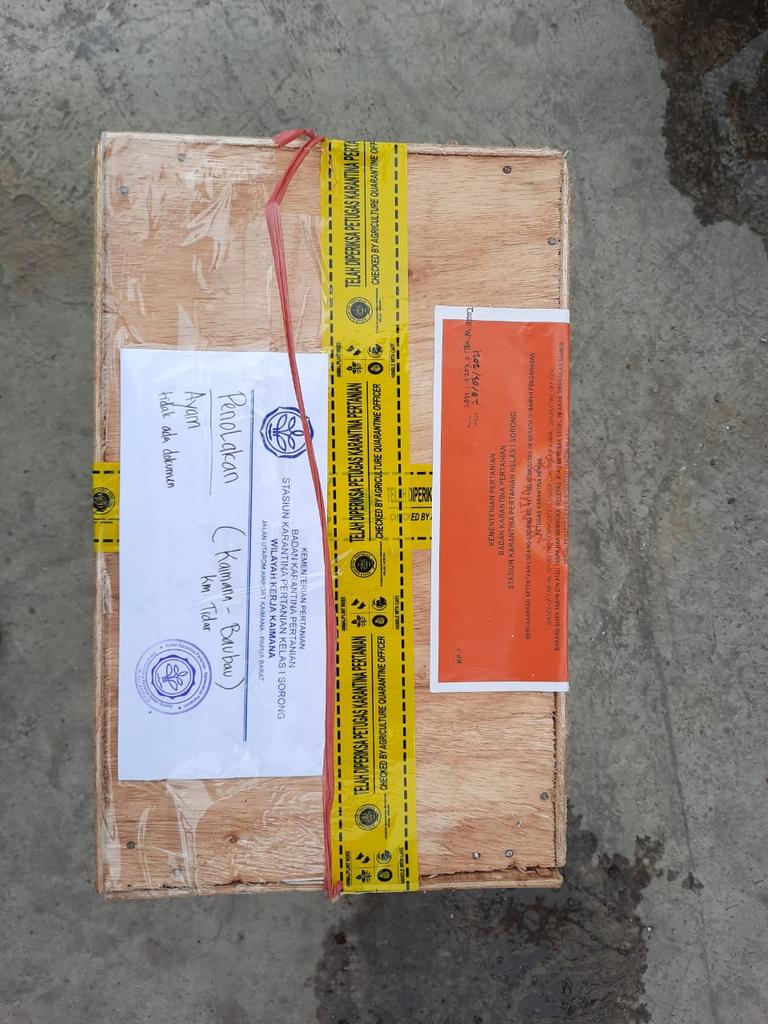 karantina_PBD's tweet photo. Ayam sebanyak 1 ekor  kembali ke bau-bau via Kapal KM. Tidar. "Sebelumnya ayam tersebut ditahan pada tanggal 24 maret lalu oleh petugas karantina wilker Kaimana karena tidak mengantongi dokumen dari daerah asal" sahut Ayu selaku petugas setempat. Sorong (28/03).

#patuhkarantina https://t.co/Aaz7kCcVpI