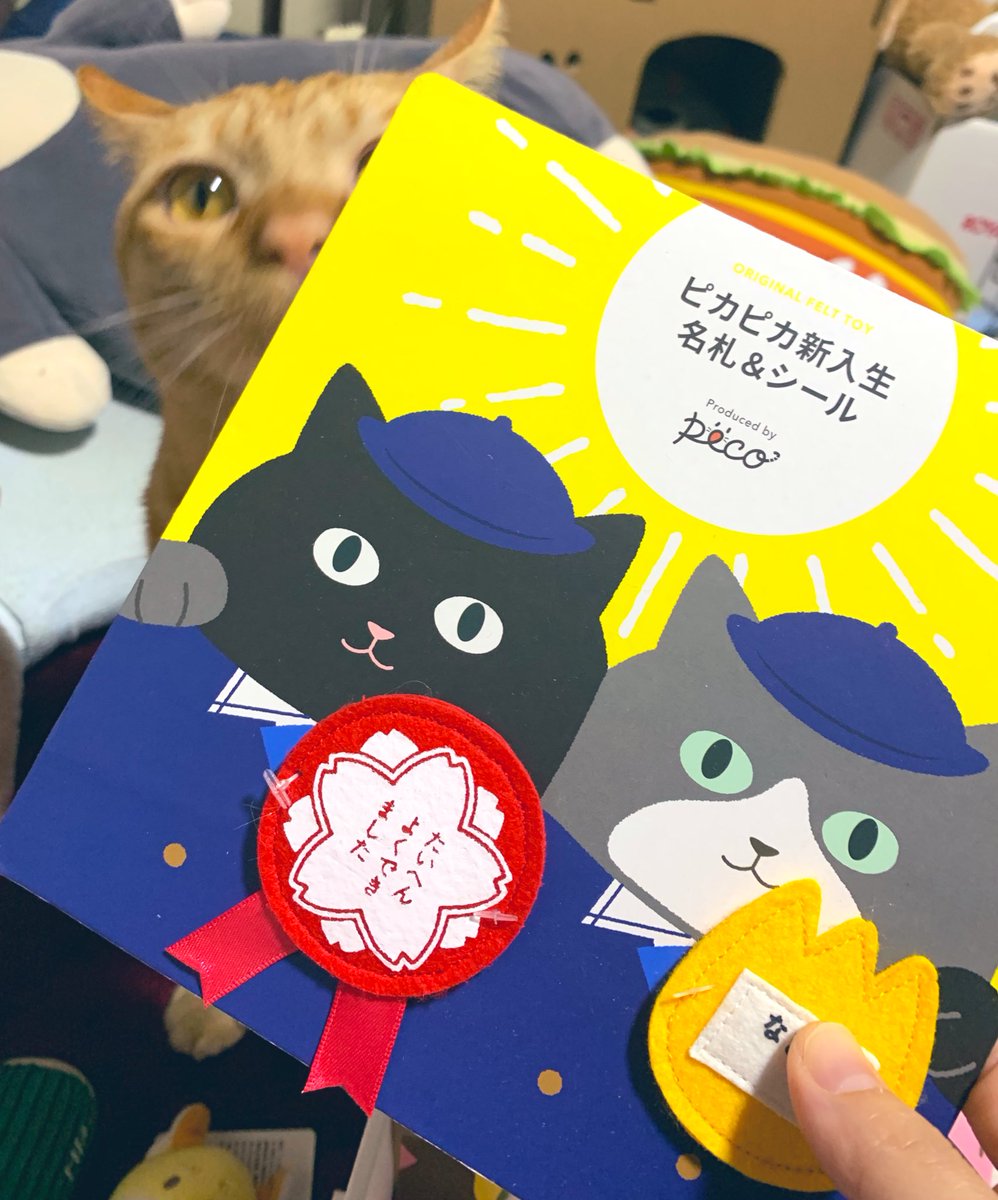 TaMu1721's tweet photo. 今月のpecoボックスがくそかわ
#pecobox
#猫 #たわら #茶トラ #ねこのいる暮らし選手権 https://t.co/yiDTegbvCc
