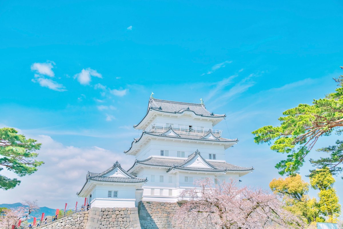 「青空の下の小田原城と桜が最高だった! 」|るいのイラスト