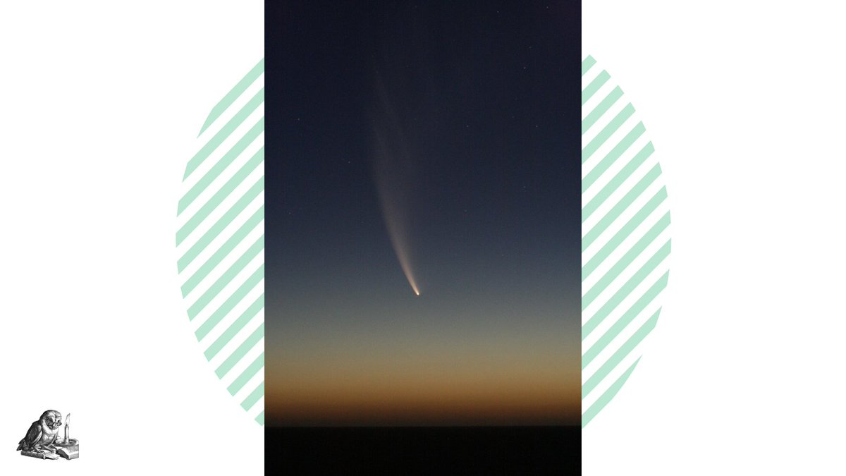 Literatueren's tweet photo. "Die Sonne ritt auf dem Horizont ... Eine Allee knarzender Eichen säumte den Weg und warf lange Schatten auf die dunkelbraunen Äcker zu meiner Rechten." Maria Wismar schreibt auf @Literatueren weiter an ihrem #OnlineRoman. Kapitel 2: https://t.co/ig5Gn9lgA0 #Badow #Roman https://t.co/nohZnA4nMD