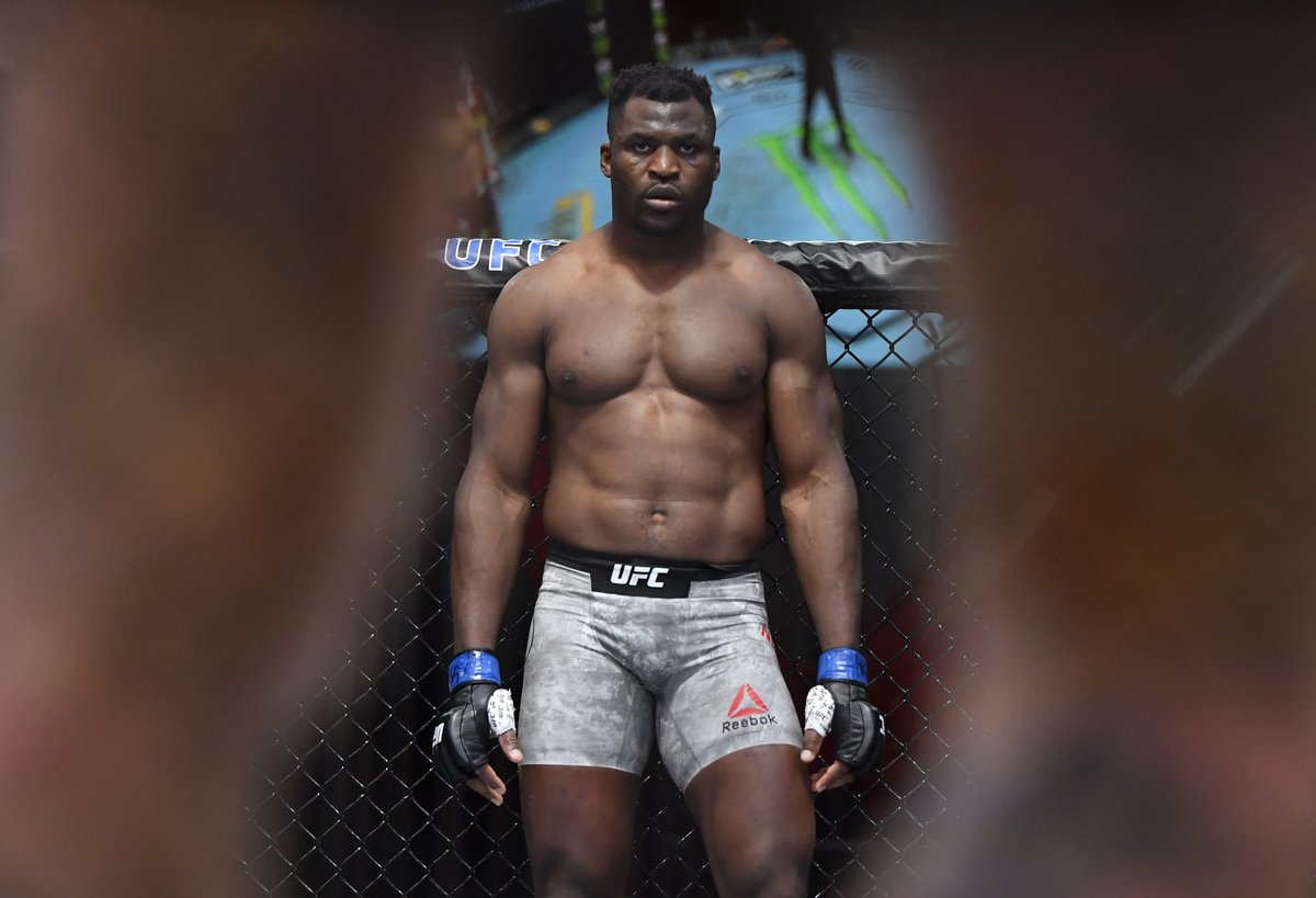UFC tweet media