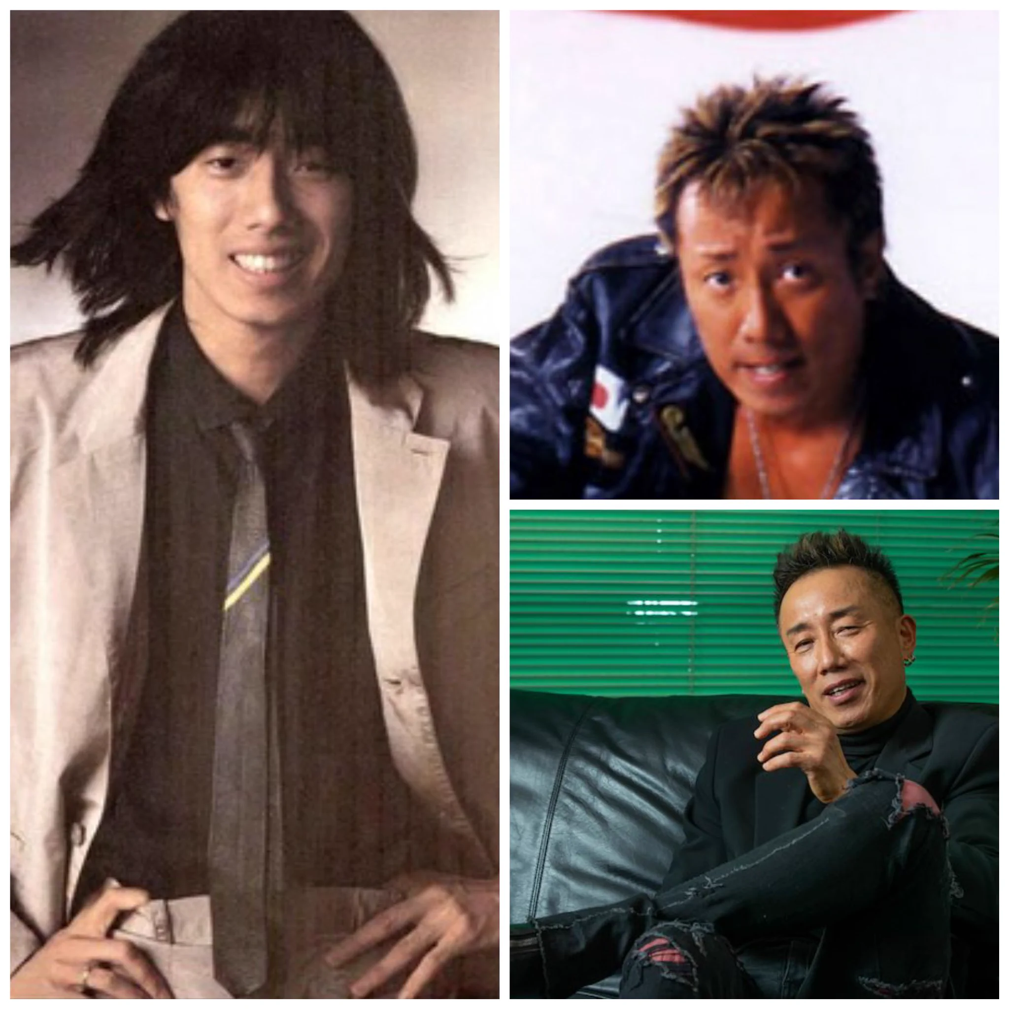 @ActioSurrealism 外から失礼します
ゴジラ並みの形態変化の
こちらもご査証ください 