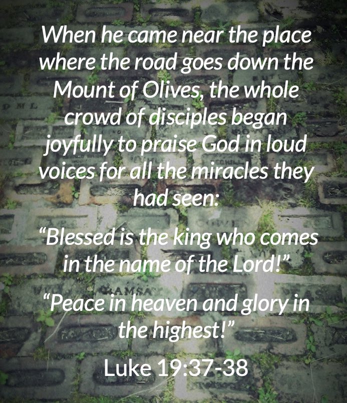GhdCentralBap's tweet photo. Preparing for Easter: Palm Sunday reflection. https://t.co/70KIEfbZWq https://t.co/gWiYYGJTOF