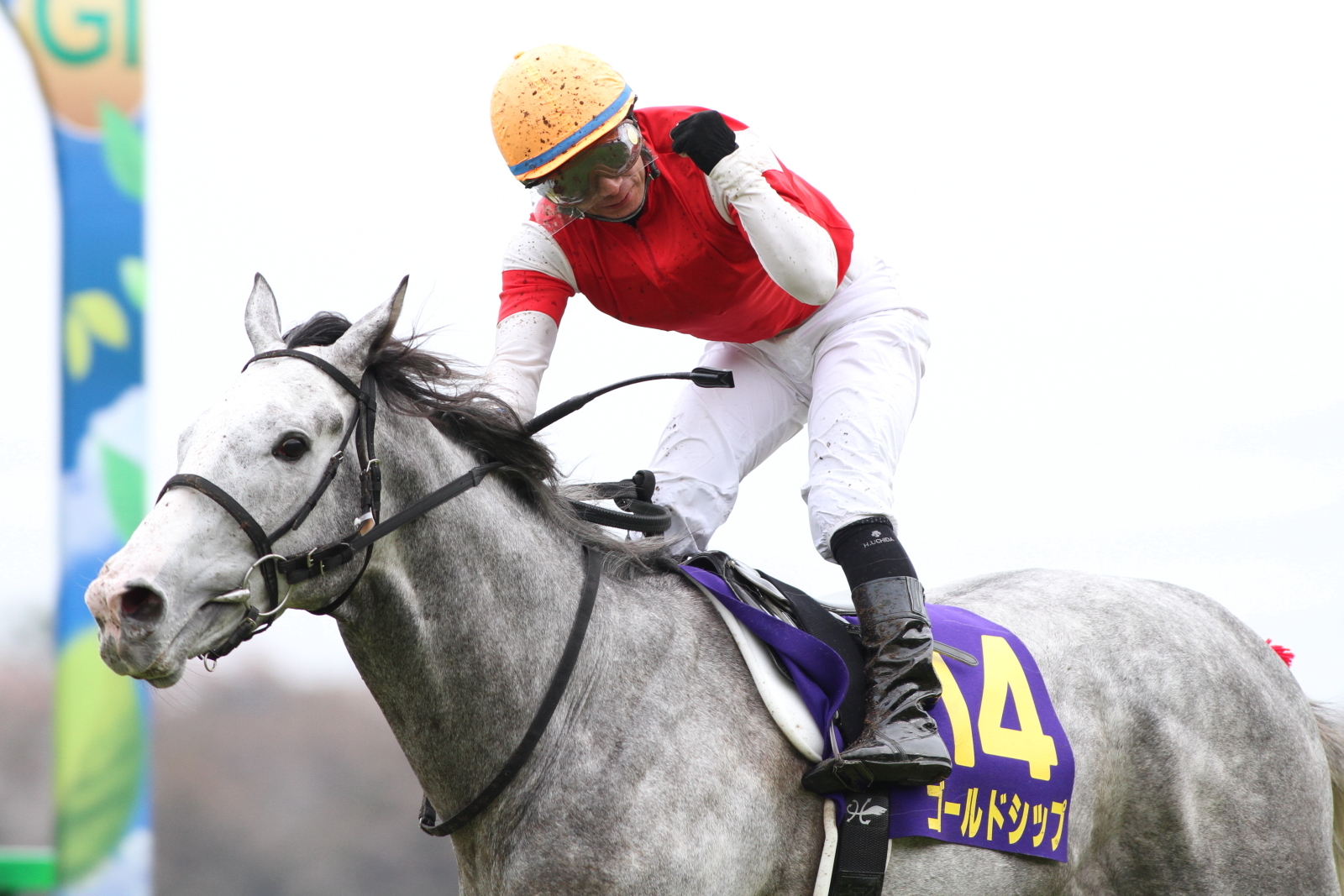 Jra Van公式 4月18日 日 に開催される今年の 皐月賞 12年に内田博幸 騎手とのコンビでこのクラシックを制したのは 黄金の船 ゴールドシップ でした 最も速い馬が勝つ それが皐月賞 T Co Whtemai0us Twitter
