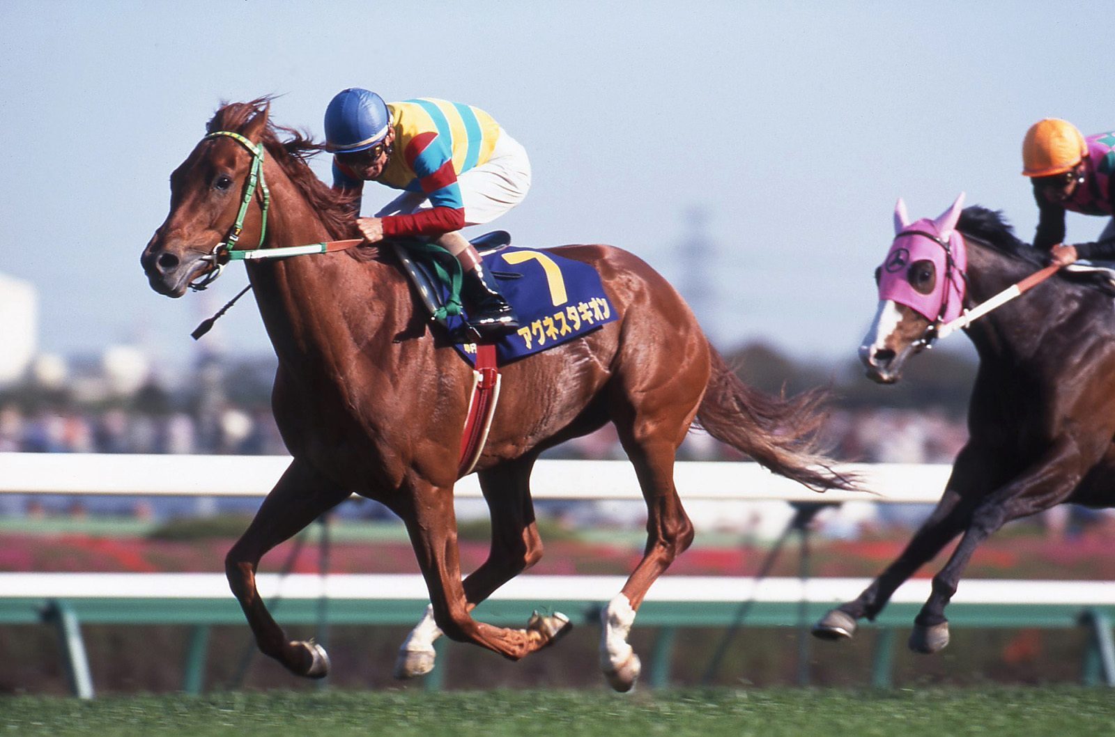 JRA-VAN公式 on X: JRA-VAN公式 on X: