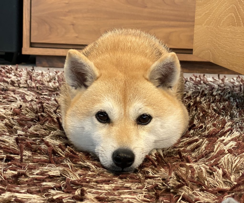アブ Abuuuntter Twitter