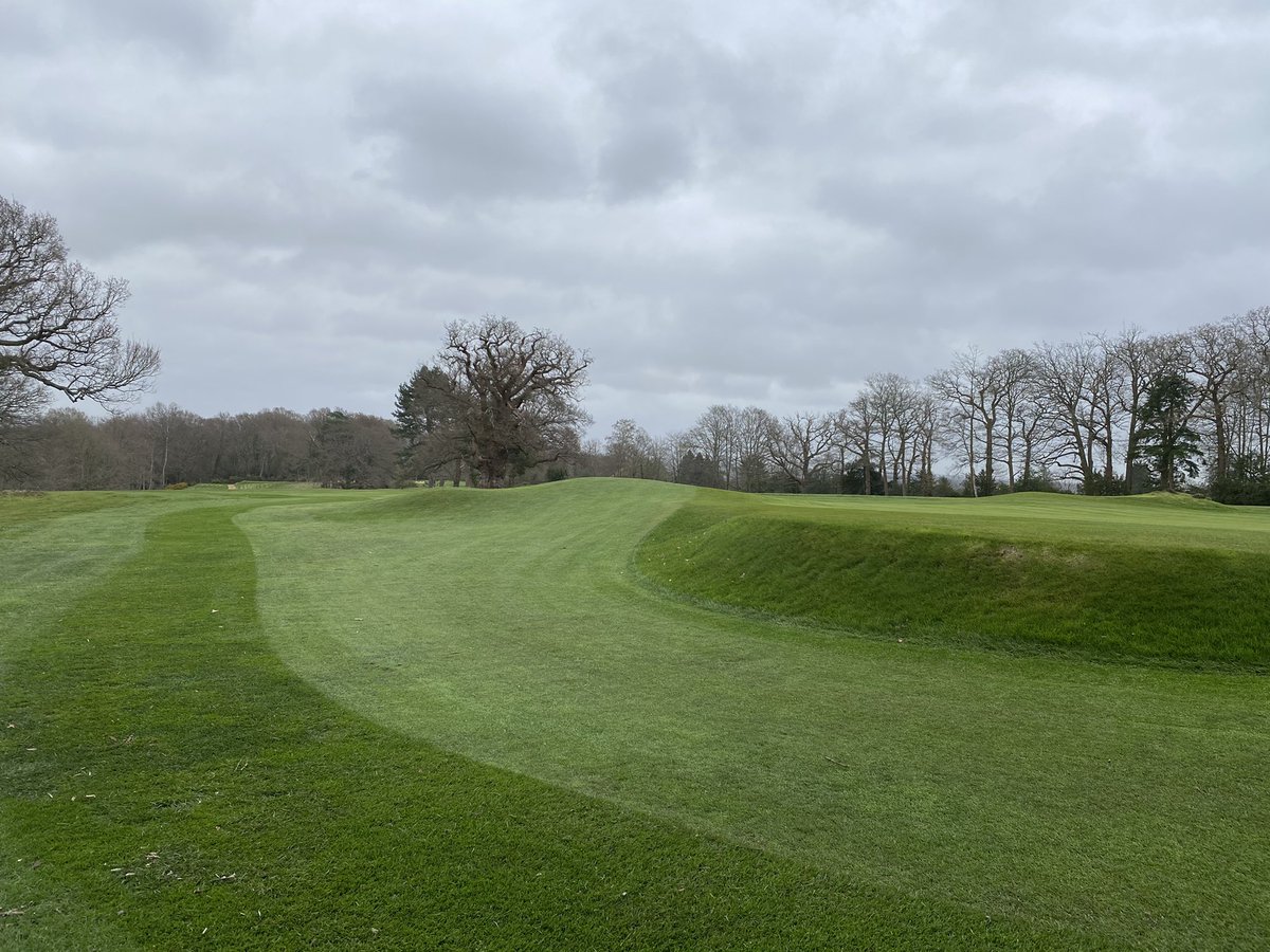plestee's tweet photo. Full team in today on the eve of golf returning. It’s been a very tough winter and the course has transformed in the last three weeks. Massive thanks to the team who have been brilliant and worked so hard. It’s still March but what a great starting point for the season ahead 👏🏻👏🏻 https://t.co/0FXEDMnHdj