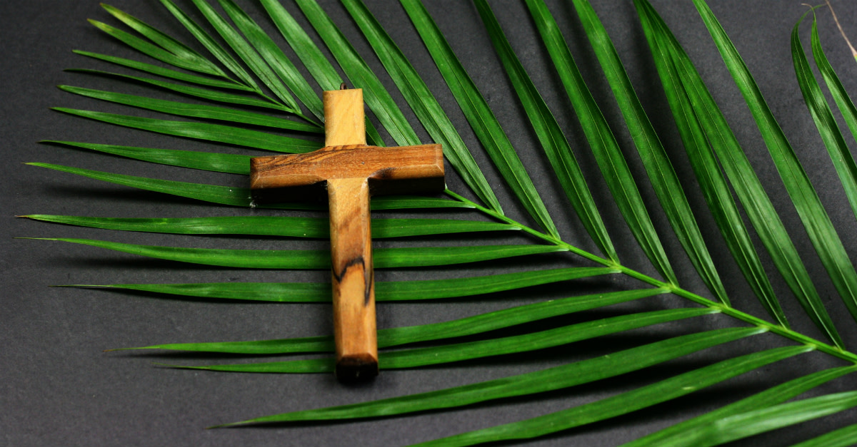 OB1Insurance's tweet image. On the occasion of Palm Sunday, we wish that your heart is filled with new hopes &amp;amp; your soul is filled with happiness…. Happy Palm Sunday!