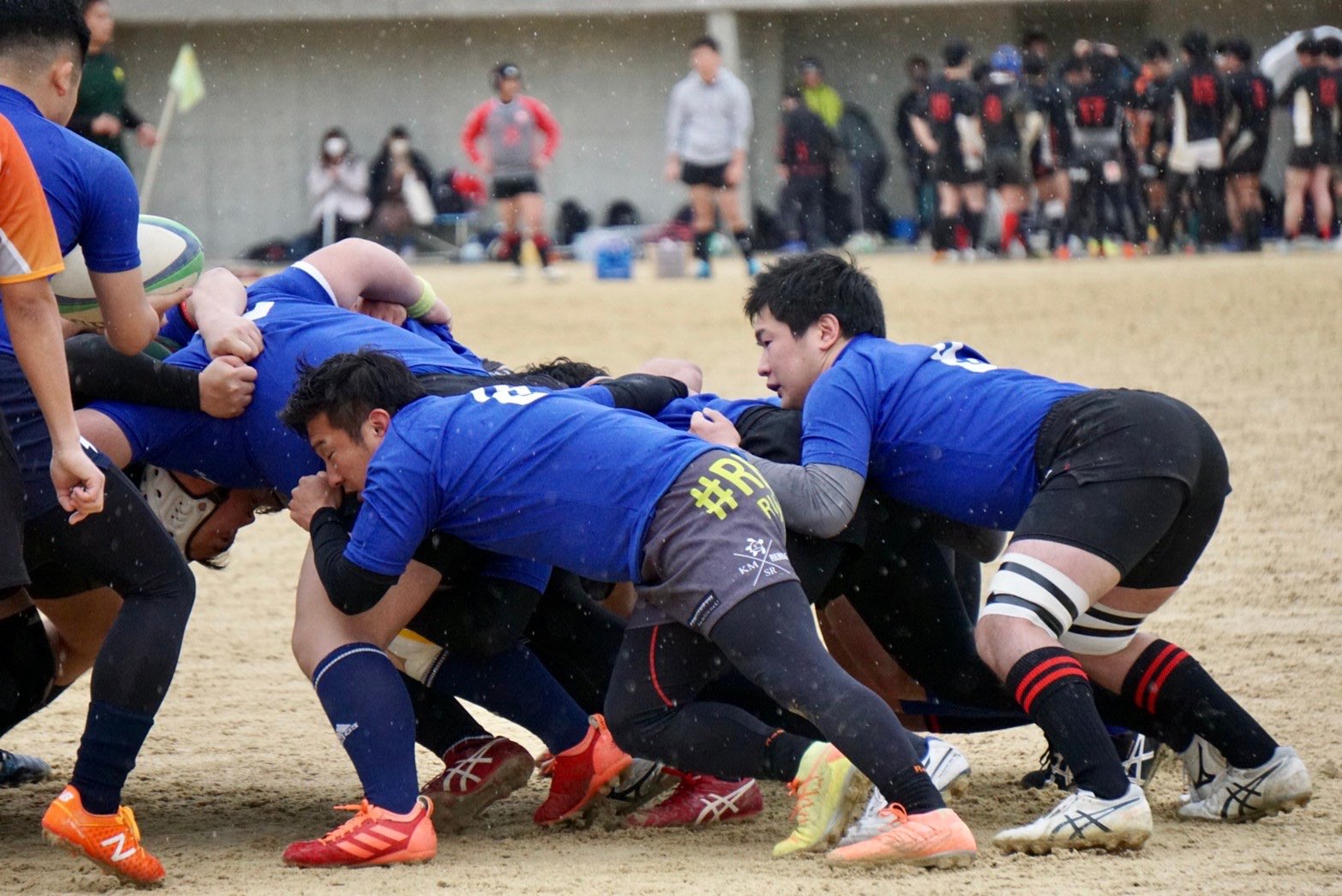 くすのきクラブのお友達が遠足に行きました さんのう日記