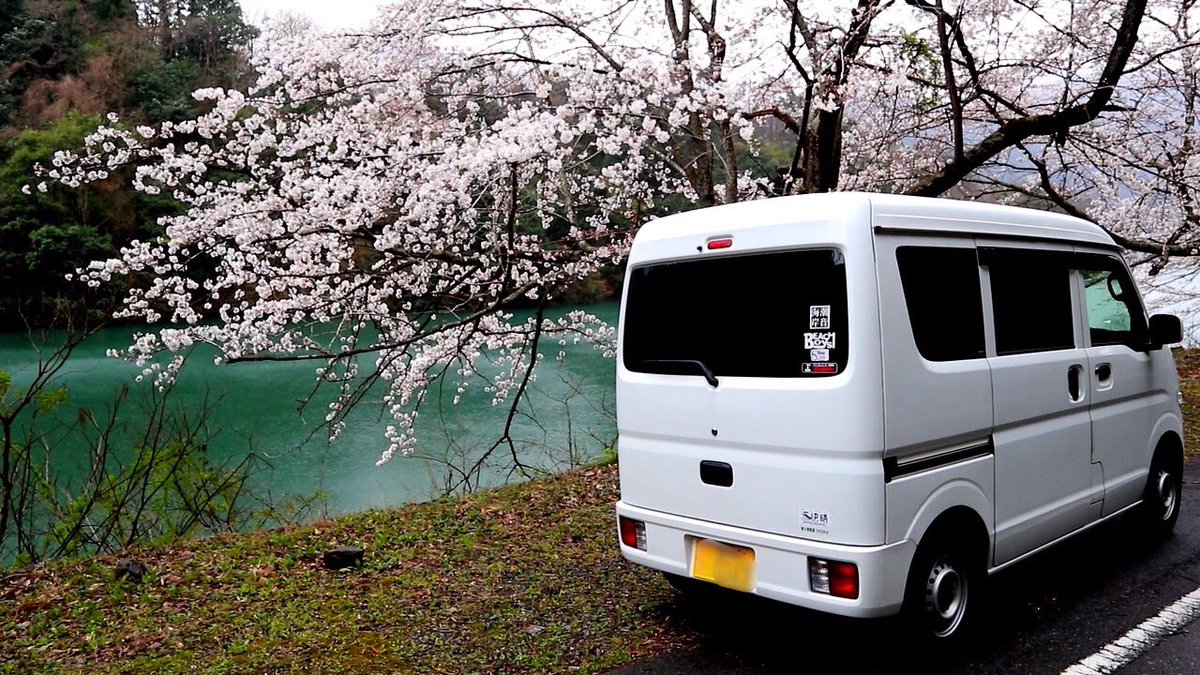 paituri8102's tweet photo. 桜見てきた🌸
めっちゃ綺麗だった☺️ https://t.co/Q4ijmqjVev