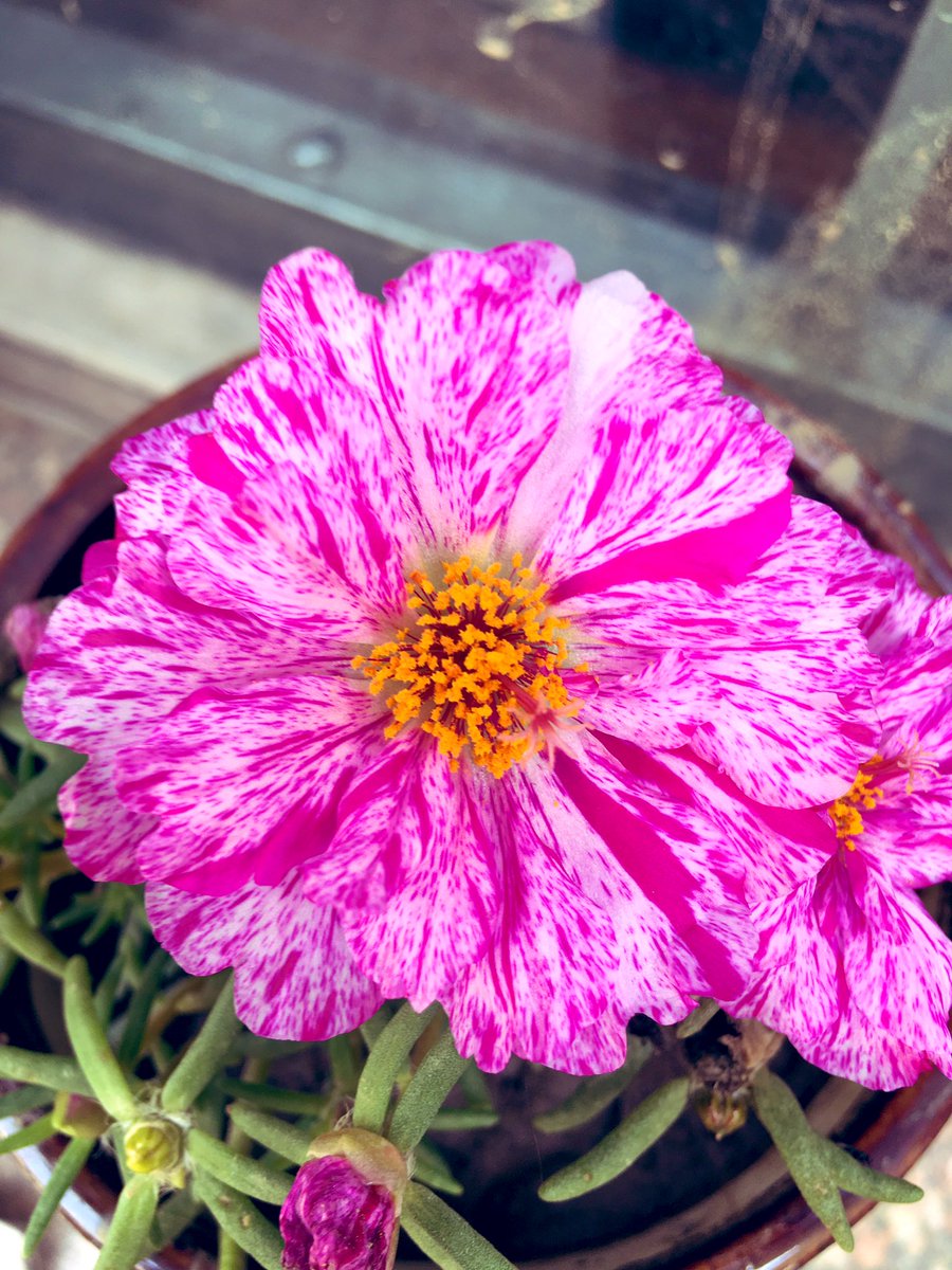 quoteforvibes's tweet image. #HappyHoli2021 
#ColoursofHappiness