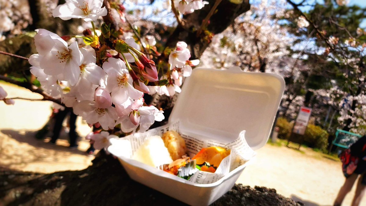 Samurai_GR's tweet photo. 【にへー食堂一歩👣踏み出す👨🏻‍🍳】
初日無事終了���しました✨🤗✨
近所の方に、ちょうどお昼ご飯に買って帰ろうかしら〜と購入して頂き、また食べた感想まで言いに来てくれるという❣️

#おにぎり弁当 #おにぎりテイクアウト #喫茶部夙川店 #喫茶部 #お花見夙川 #夙川 #夙川公園 #夙川ランチ #夙川桜 https://t.co/yLYfoFuXdN