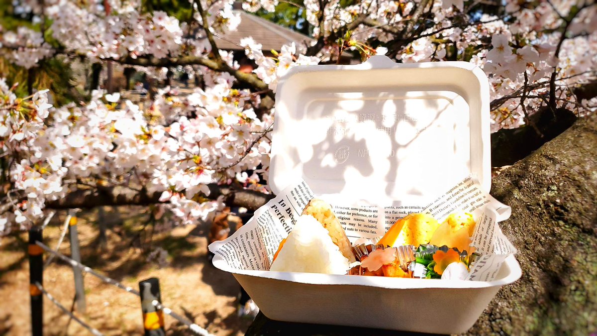Samurai_GR's tweet photo. 【にへー食堂一歩👣踏み出す👨🏻‍🍳】
初日無事終了���しました✨🤗✨
近所の方に、ちょうどお昼ご飯に買って帰ろうかしら〜と購入して頂き、また食べた感想まで言いに来てくれるという❣️

#おにぎり弁当 #おにぎりテイクアウト #喫茶部夙川店 #喫茶部 #お花見夙川 #夙川 #夙川公園 #夙川ランチ #夙川桜 https://t.co/yLYfoFuXdN