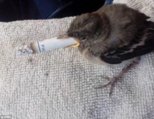 cigarette vapour Vapour vs Smoke