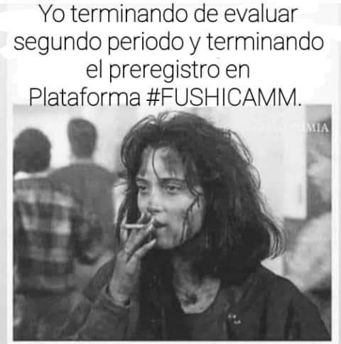 María de los Angeles tweet media