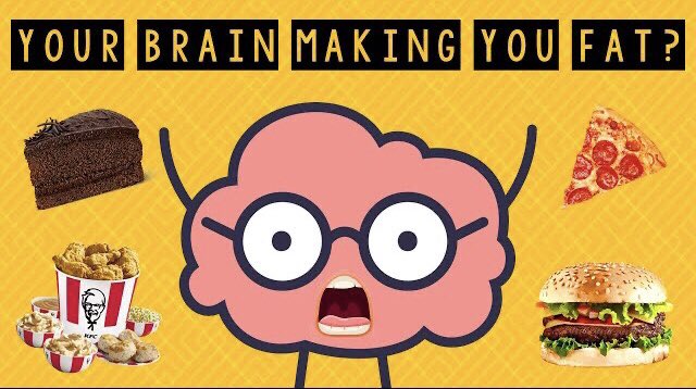 WokeHeshMD's tweet photo. WATCH MY latest YouTube video to find out why your #brain may be hooked on food — #MedTwitter #FoodAddiction #Health #CompulsiveEating
https://t.co/kkTjxIdHHr https://t.co/Wo3XEmgWeT