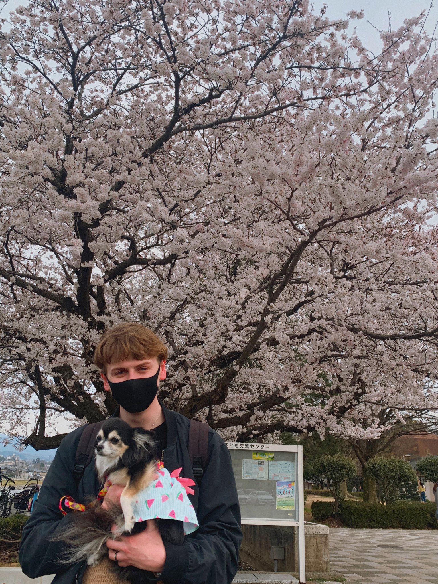 りせ Riseoreo Twitter