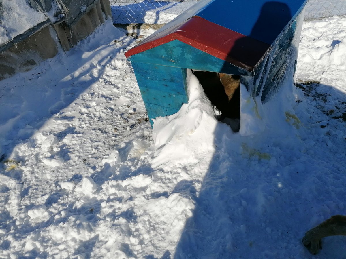 Çok kara kışlar gördüler.
Bu defa kulubeleri vardı.
Emeği geçen, destek veren, dualarını esirgrmeyenler,
Bahtiyar olun, Bahtiyar kalın..