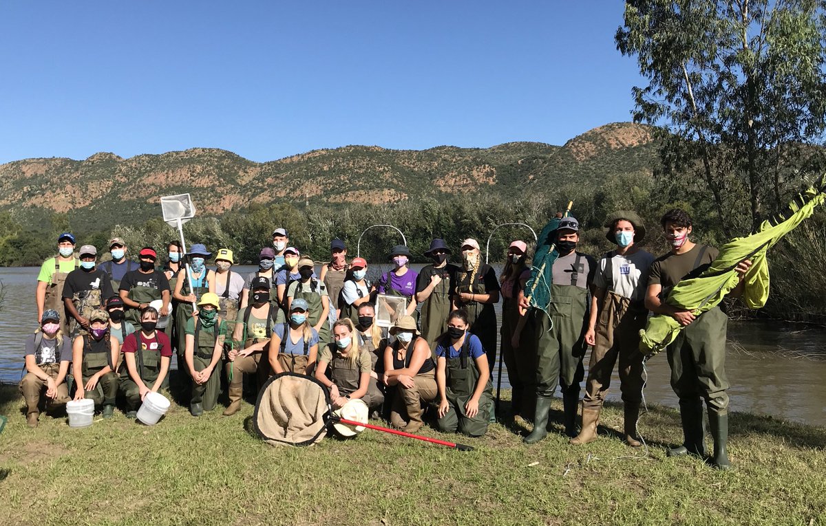 NicoJSmit1's tweet photo. Day 2 of training the next generation of South African aquatic ecologist, ready for collection! ⁦@theNWU⁩ Zoology ecology field-course. #Vaal_LivingLab ⁦@NWU_WRG⁩ ⁦@NWU_FNAS⁩ ⁦@WynandMalherbe⁩ ⁦@busseolafusca⁩ https://t.co/Q7L0LLY1fN