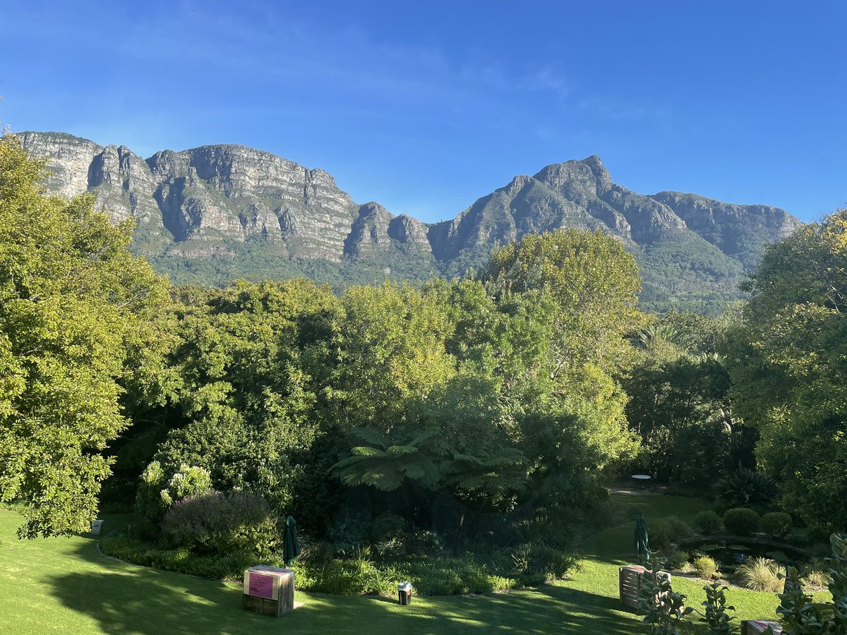 It’s a beautiful day in Cape Town <a href="/Vineyard_Hotel/">The Vineyard</a>, we are looking forward to the Bubbles festival at 3 pm. See you there 🥂 #CapeTown #WaterfordEstate #Wine #VineyardHotel <a href="/Roy_Davies/">roy davies</a> <a href="/Mark_Waterford/">Mark Le Roux</a>