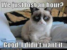 Did anyone fur-get? #grumpycat #clocksgoforward #clocksforward #cat #cats #CatsOfTwitter #catsofinstagram #number10cat