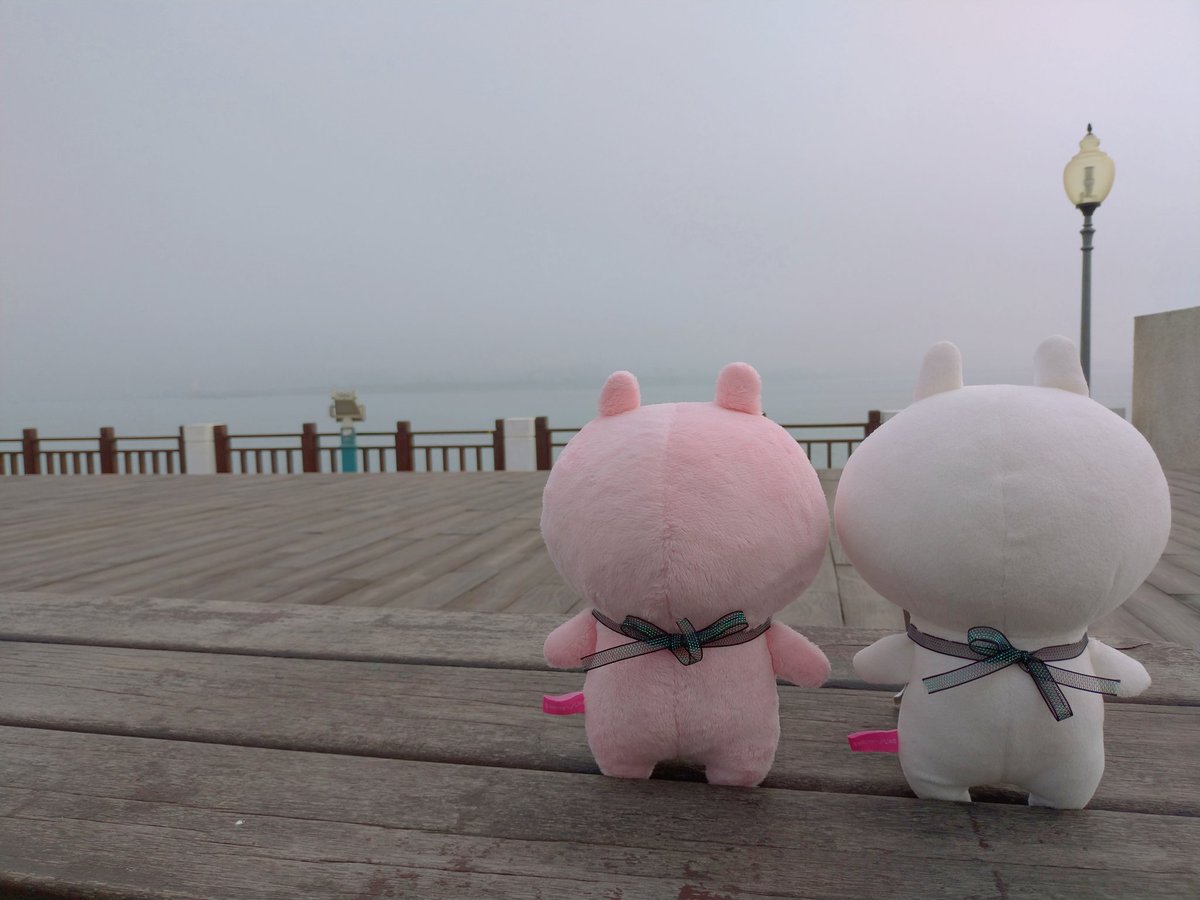 yuyi0807's tweet photo. Danshui Lover's Bridge
#Danshui
#うさまる
#兔丸
#Usamaru
#新北市
#淡水
#淡水情人橋 https://t.co/pmSYQtlPOd