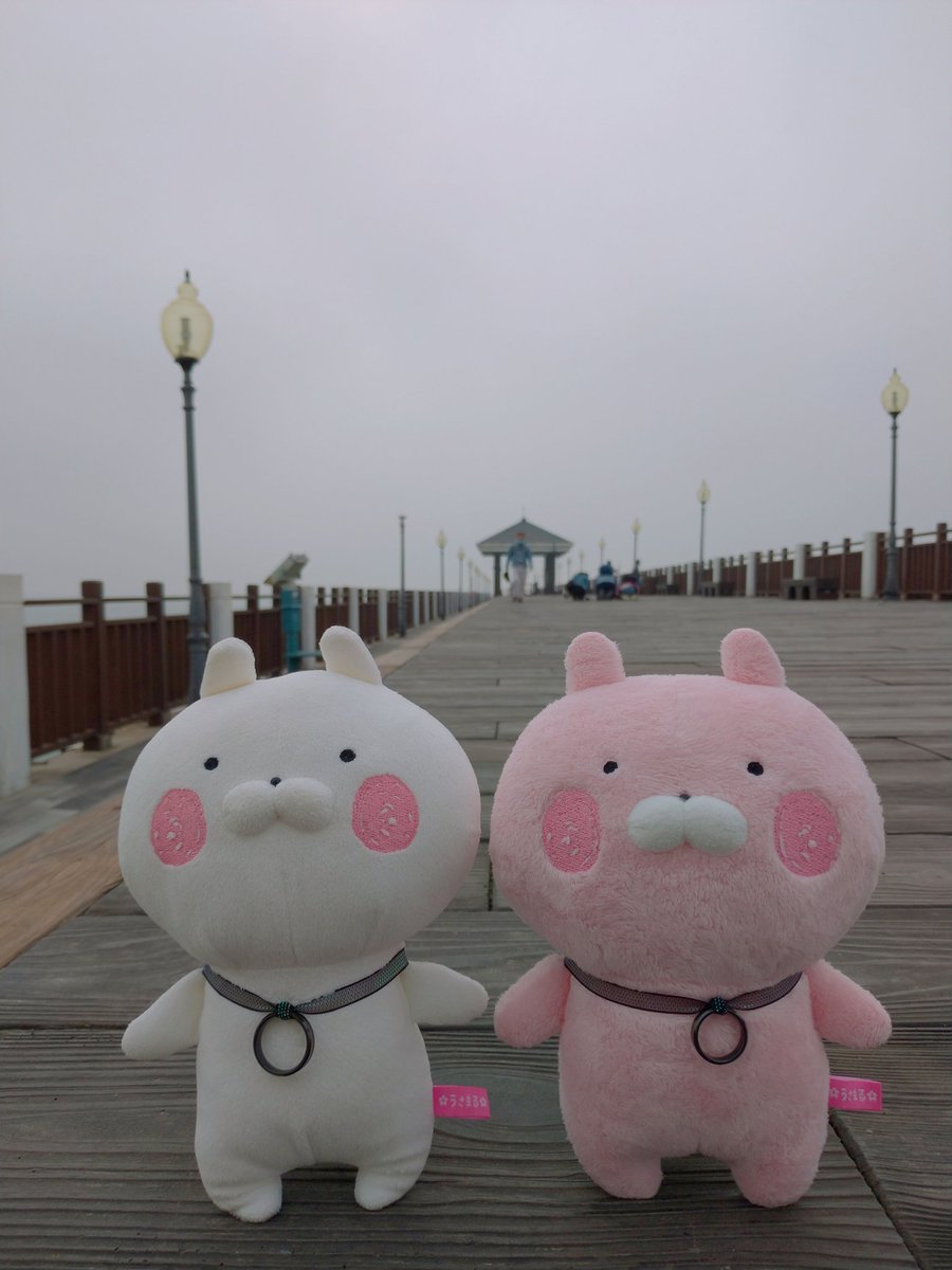 yuyi0807's tweet photo. Danshui Lover's Bridge
#Danshui
#うさまる
#兔丸
#Usamaru
#新北市
#淡水
#淡水情人橋 https://t.co/pmSYQtlPOd
