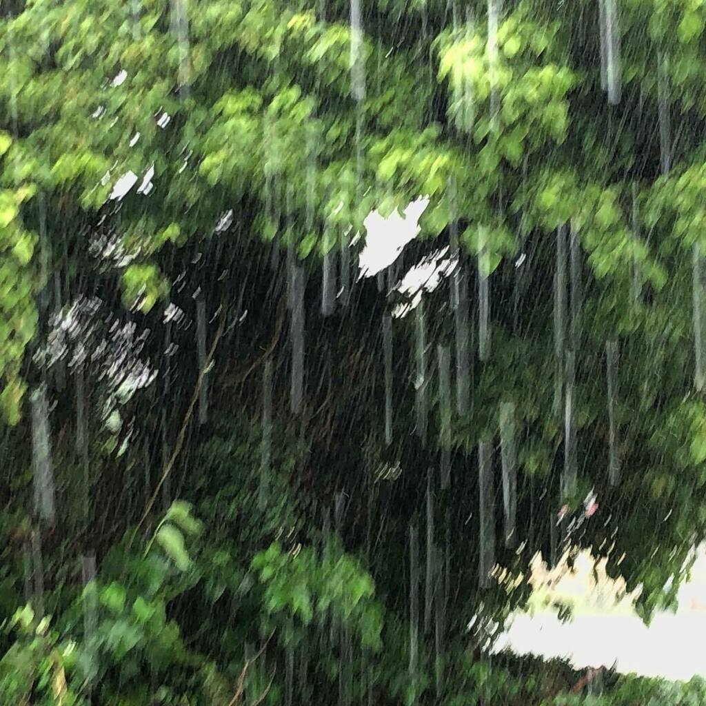 NikkiEigo's tweet photo. Started raining when I was getting ready to go on a walk.
#raindrops💧 #iphonex #manualcameraapp https://t.co/Vf9ACy2Kqd https://t.co/B8O1N3WLR7
