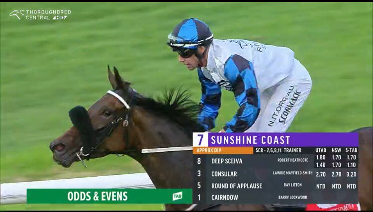 Ourhorsesfly's tweet photo. Deep Sceiva (Poppy) does it again🔥She really dug in deep at @SCTurfClub for #robheathcoteracing Congratulations to all of her connections. Another gem from #seancormack @Pinhookhorses @NewgateFarm @manelodge https://t.co/oMo1aYTAie