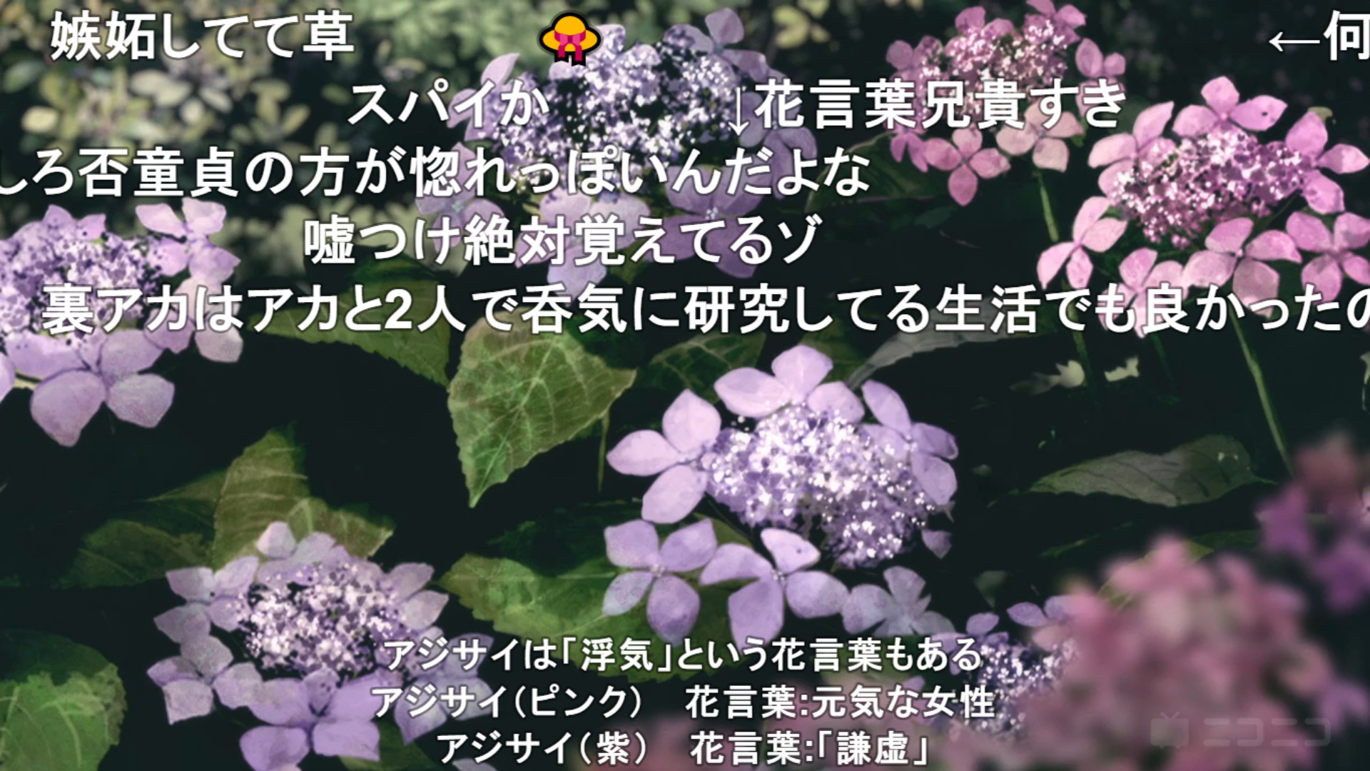 Twitter 上的 小庵 春 ニコニコの花言葉考察班が例によって凄い ワンダーエッグ プライオリティ ワンエグ T Co Jwdb03umj4 Twitter