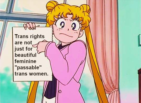 AmandaTNStevens's tweet photo. ✨You✨Don't✨Need✨To✨Pass✨To✨Be✨Trans✨ https://t.co/p7FmaJWqJN