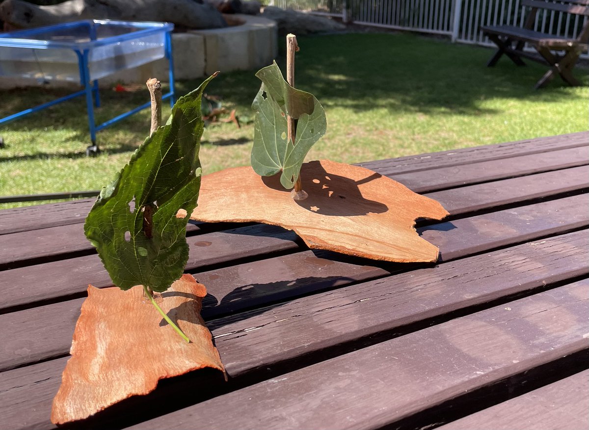 A delightful morning making Possum Magic inspired boats at our Nature Play Open Day <a href="/natureplaywa/">natureplaywa</a> <a href="/therealmemfox/">Mem Fox</a> #natureplay #wellbeing #STEAM #earlyyears #earlychildhood