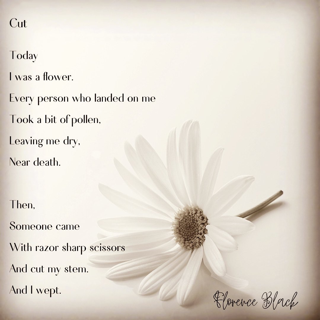 fblack_author's tweet photo. New poem “Cut” is a metaphor for anxiety. We all have it. You’re not alone.
#amwriting #amwritingpoetry #amwritingfiction #writer #poet #momswhowrite #amreading #WritingCommunity #poetrycommunity #normalizeanxiety #mentalhealth #mentalhealthawareness #poetry https://t.co/ire4DwuoSe