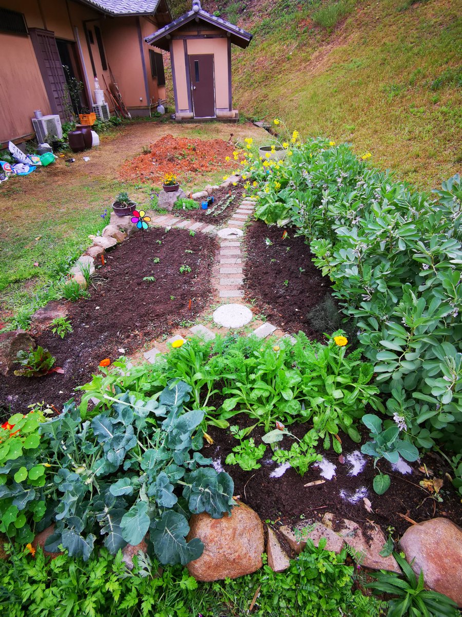 vibromama's tweet photo. The herb garden has morphed into a vegetable/herb /flower garden. Just planted some mini tomatoes, mini cucumbers and marigolds.  #tinygarden #inakaliving #minitomatoes #minicucumbers https://t.co/HvQq5c2KAm