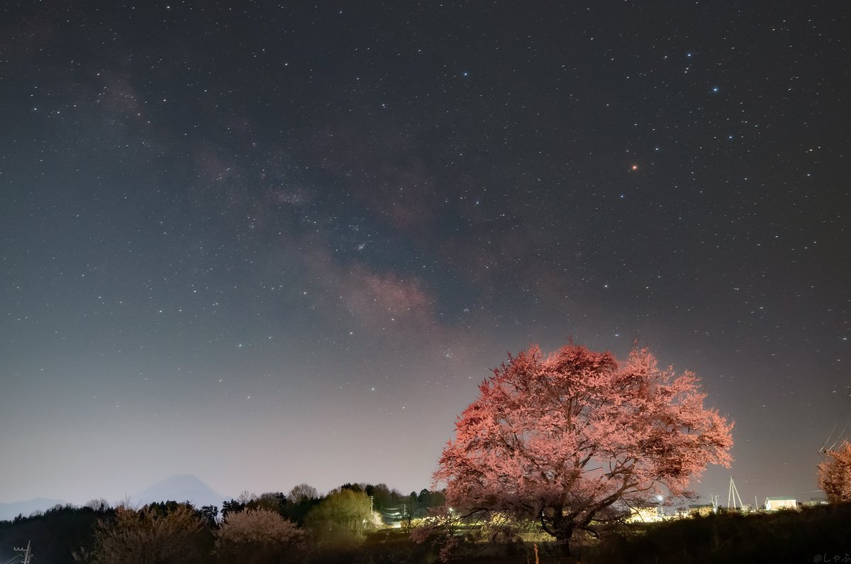 しゃふ 星空好き 桜と天の川と富士山 先日に撮影した遠く霞む富士山の上に流れる天の川です 桜も車のライトに照らされほんのり明るくなりました 21 3 24 桜 天の川 星空