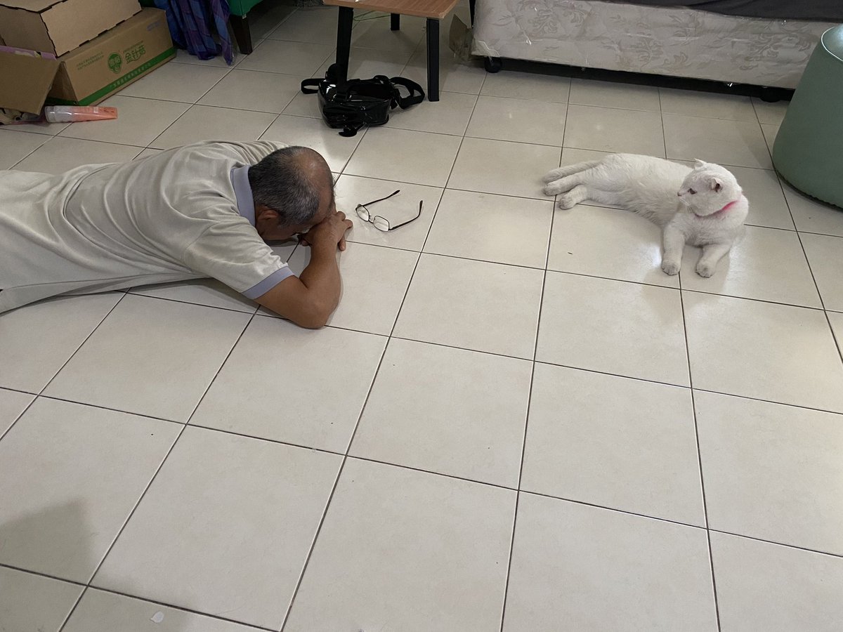 พ่อพยายามคุยกับแมวแต่ยอมแพ้