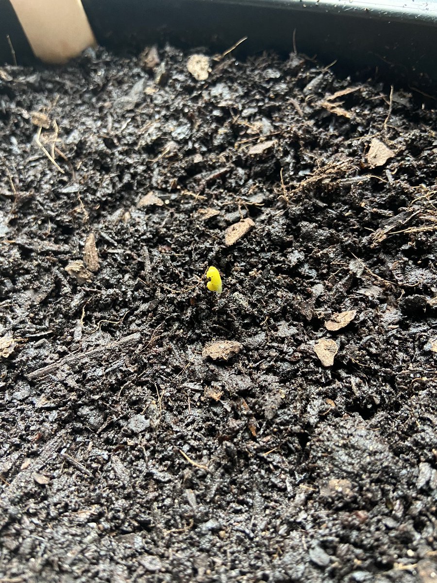 Jack Wallington tweet media