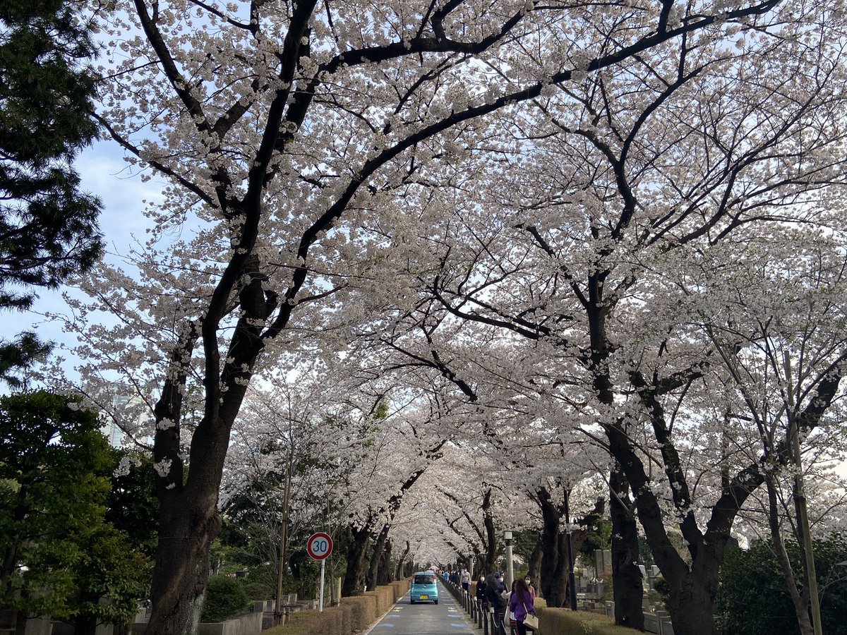 TripHugger's tweet photo. 目で見たらもっときれい！#TripHugger https://t.co/BzayeZaX1n