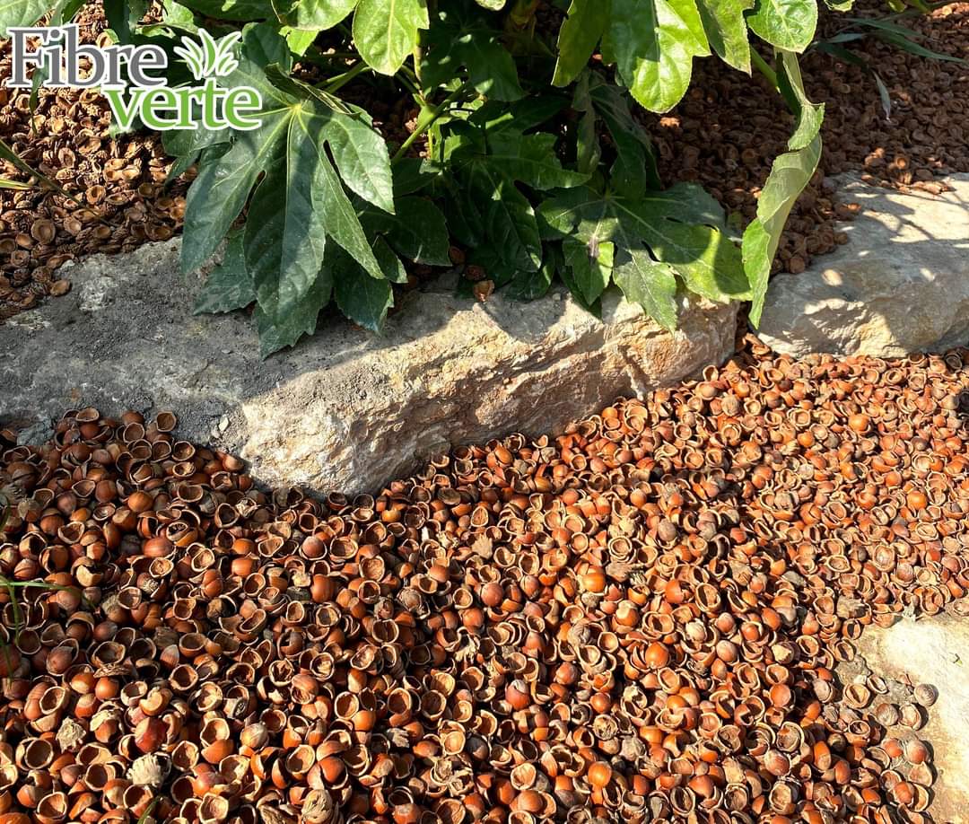Tout est bon dans la noisette ! 
Koki en valorise aussi les coquilles : paillage paysager, chauffage, substrat de filtration, nos noisettes ont une seconde vie ! 

📸 Merci à notre partenaire fibre verte pour la prise de vue !