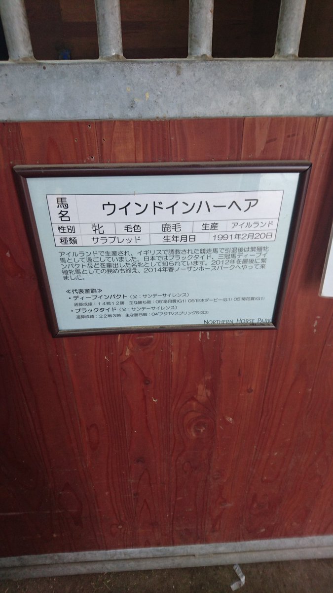 0701micci's tweet photo. 念願のウインドさんに会えました！話しかけたらずっと話聞いてくれてた( o̴̶̷᷄﹏o̴̶̷̥᷅ )長生きしてねと伝えてきました。

#ノーザンホースパーク
#ウインドインハーヘア https://t.co/p4EZKjh8UN
