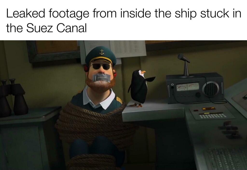 memes_bot's tweet photo. Kowalski, analysis https://t.co/9fshXvNqoD