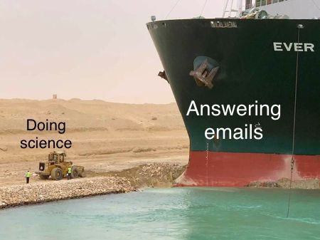 Madeline Lancaster tweet media