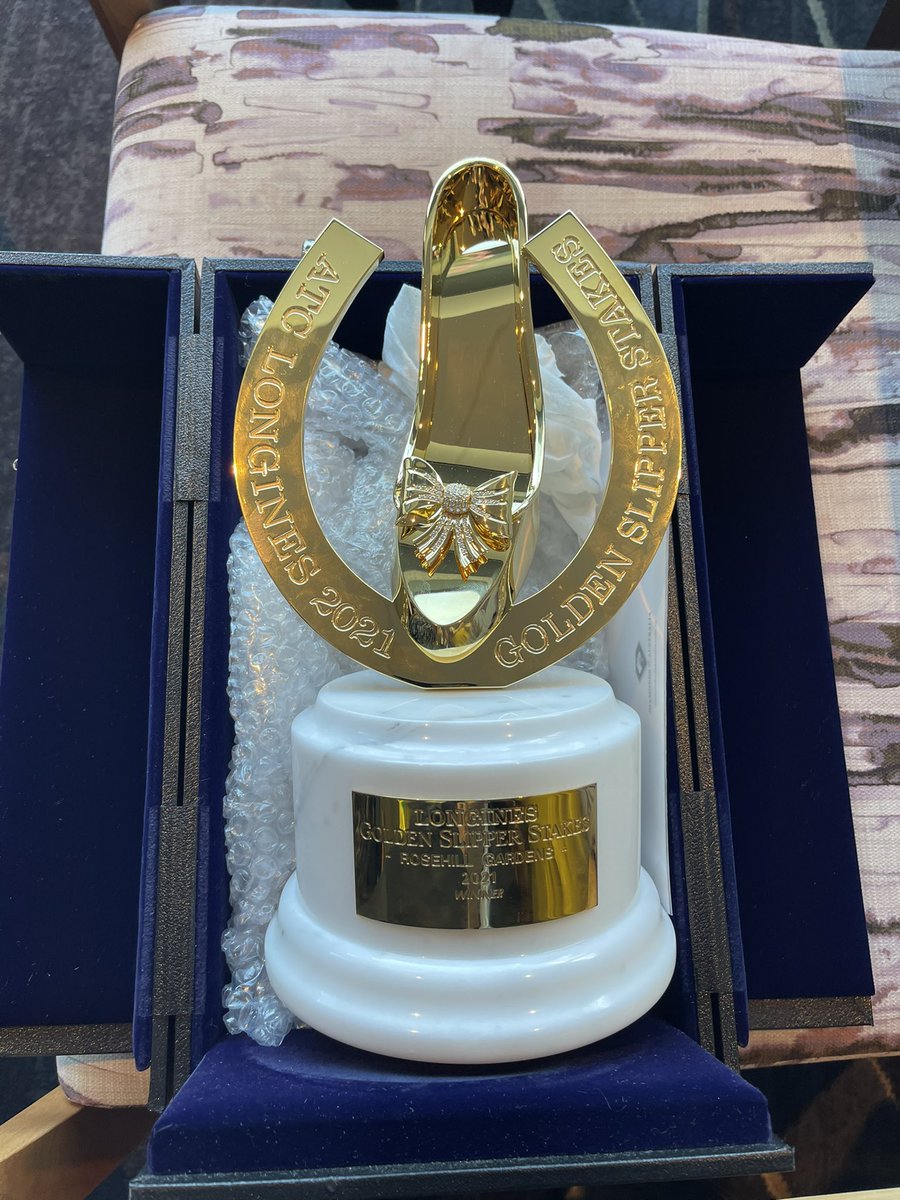 adodgy's tweet photo. Yesterday...💛#StayInside #GoldenSlipper #cleverboy #GOTG https://t.co/68v8piIjc3